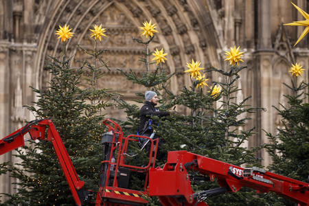 Weihnachtsbäume in Köln