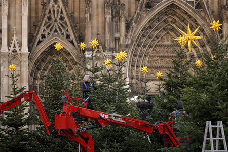 Weihnachtsbäume in Köln