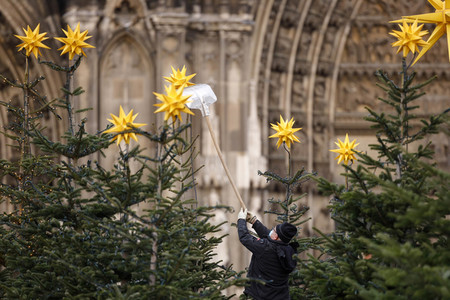 Weihnachtsbäume in Köln