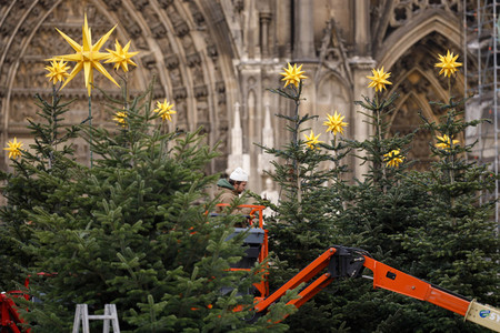Weihnachtsbäume in Köln