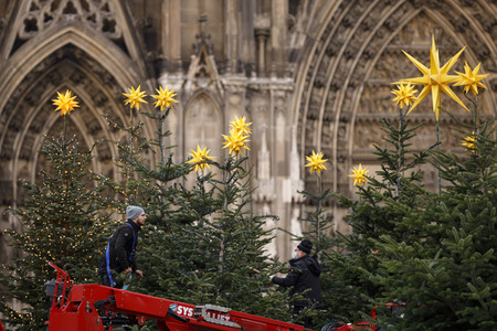 Weihnachtsbäume in Köln