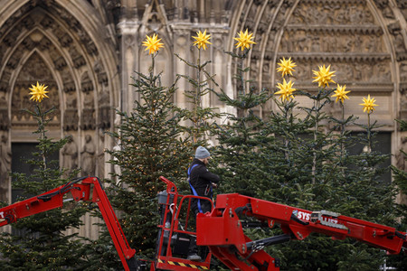 Weihnachtsbäume in Köln