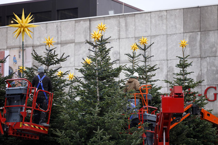 Weihnachtsbäume in Köln