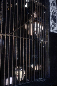 Photoshooting mit Specimen in London