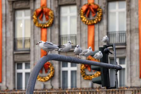 Symbolfoto Weihnachtsdekoration