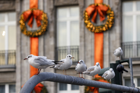 Symbolfoto Weihnachtsdekoration