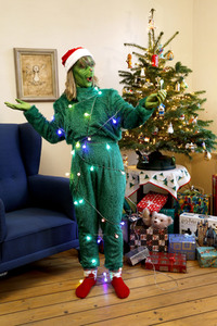 GEEK ART: Der Weihnachtsmann und der Grinch / Santa Claus and the Grinch