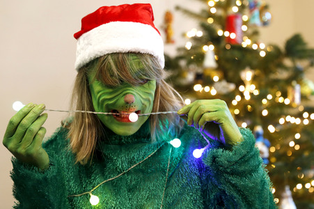 GEEK ART: Der Weihnachtsmann und der Grinch / Santa Claus and the Grinch