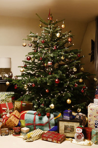 Dany Michalski mit Bodypainting-Geschenkpaket in Einbeck