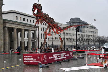 Mahnwache vom Aktionsbündnis 'Alarmstufe Dunkelrot' in Berlin