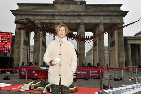 Mahnwache vom Aktionsbündnis 'Alarmstufe Dunkelrot' in Berlin