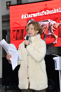 Mahnwache vom Aktionsbündnis 'Alarmstufe Dunkelrot' in Berlin