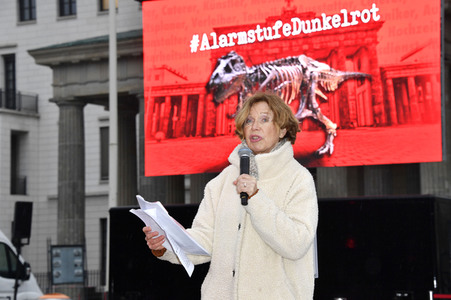 Mahnwache vom Aktionsbündnis 'Alarmstufe Dunkelrot' in Berlin