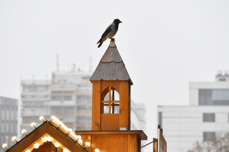 Weihnachtsstände in Berlin