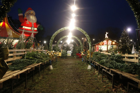 Symbolfoto Weihnachtsbaumverkauf