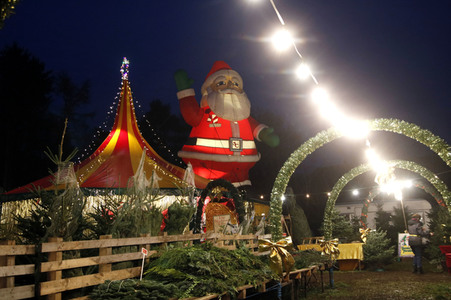 Symbolfoto Weihnachtsbaumverkauf