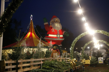 Symbolfoto Weihnachtsbaumverkauf