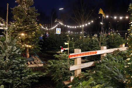 Symbolfoto Weihnachtsbaumverkauf