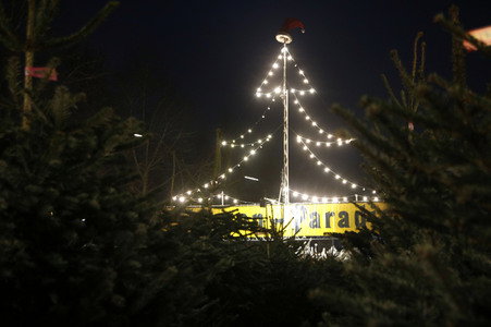 Symbolfoto Weihnachtsbaumverkauf