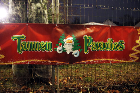 Symbolfoto Weihnachtsbaumverkauf