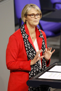 201. Sitzung des Deutschen Bundestages in Berlin