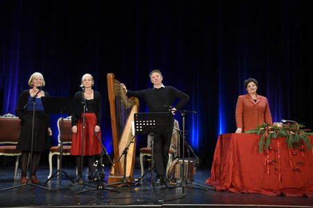 Online-Lesung von Monika Baumgartner in Haar