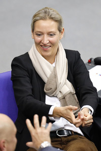 202. Sitzung des Deutschen Bundestages in Berlin