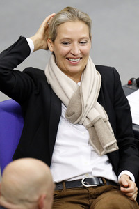 202. Sitzung des Deutschen Bundestages in Berlin