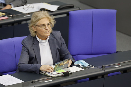 202. Sitzung des Deutschen Bundestages in Berlin