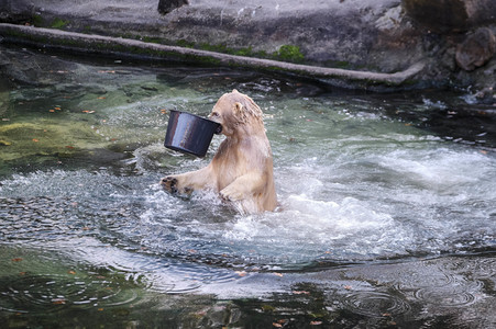 Weihnachtszeit im Erlebnis-Zoo Hannover