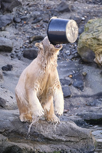 Weihnachtszeit im Erlebnis-Zoo Hannover