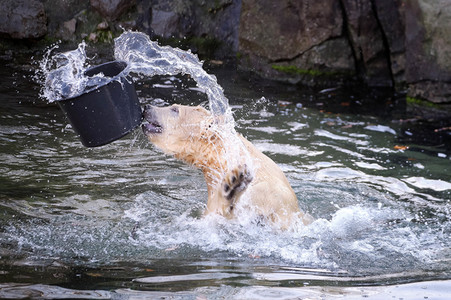 Weihnachtszeit im Erlebnis-Zoo Hannover