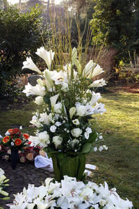 Udo Walz Urnengrab in Berlin-Dahlem