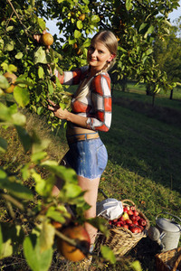 AGRAR ART: Apfelernte / Apple Harvest Bodypainting