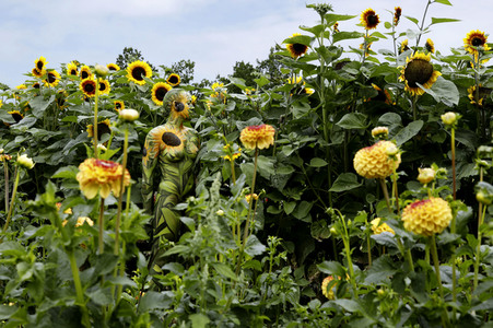 NATURE ART: Sonnenblumen / Sunflowers Bodypainting