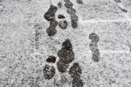 Erster Schnee 2021 in Berlin