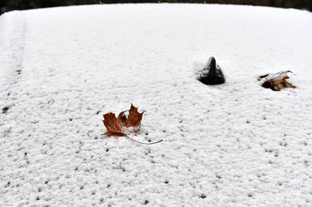 Erster Schnee 2021 in Berlin