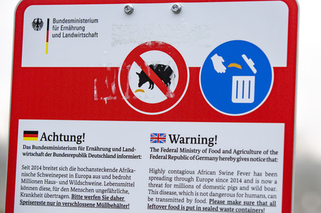 Symbolfoto Müllentsorgung bei der Schweinepest