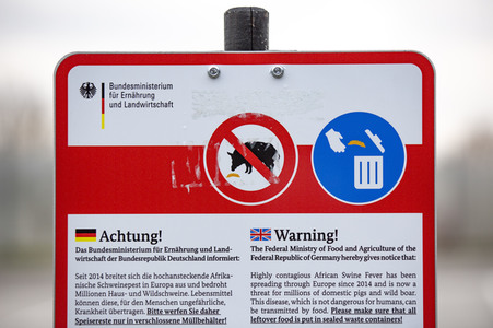 Symbolfoto Müllentsorgung bei der Schweinepest