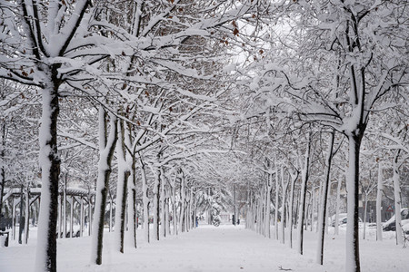 Sturmtief Filomena sorgt für Chaos in der Region Madrid