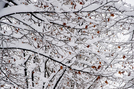 Sturmtief Filomena sorgt für Chaos in der Region Madrid