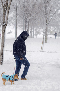 Sturmtief Filomena sorgt für Chaos in der Region Madrid