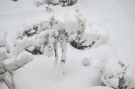 Sturmtief Filomena sorgt für Chaos in der Region Madrid