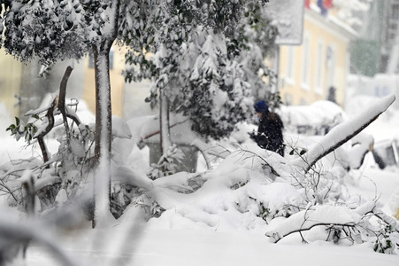 Sturmtief Filomena sorgt für Chaos in der Region Madrid