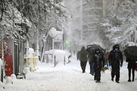 Sturmtief Filomena sorgt für Chaos in der Region Madrid