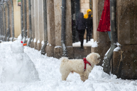 Nach dem Sturmtief Filomena in der Region Madrid
