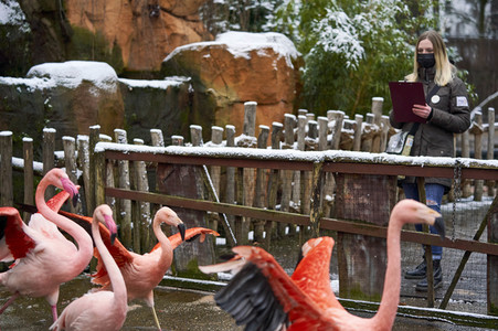 Tierische Inventur im Erlebnis-Zoo Hannover