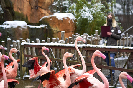 Tierische Inventur im Erlebnis-Zoo Hannover