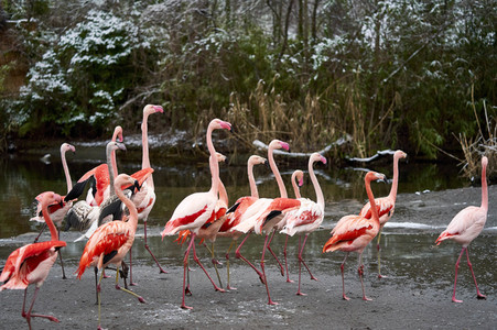 Tierische Inventur im Erlebnis-Zoo Hannover
