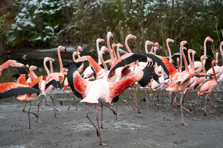 Tierische Inventur im Erlebnis-Zoo Hannover